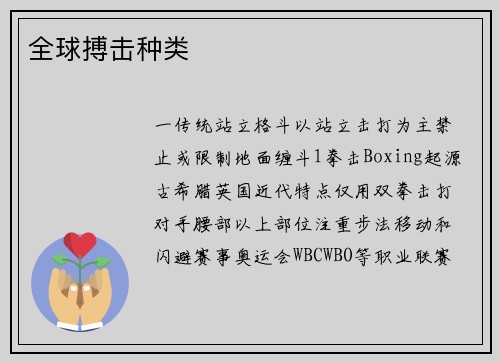全球搏击种类